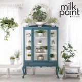 Fusion Milk Paint Terrarium